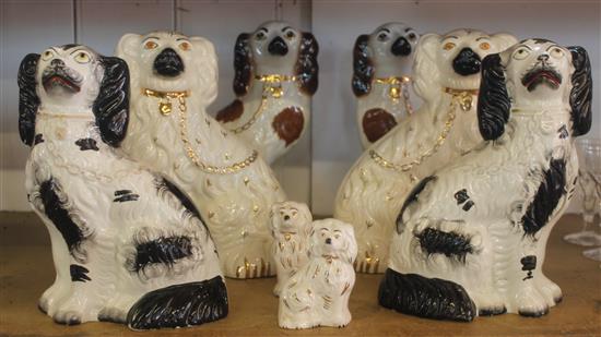 Pair Beswick dogs and 3 pairs of Staffs dogs